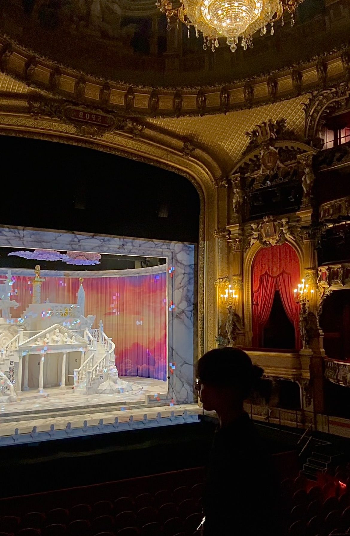 WhatsApp Image 2026-01-10 at 11.52.28